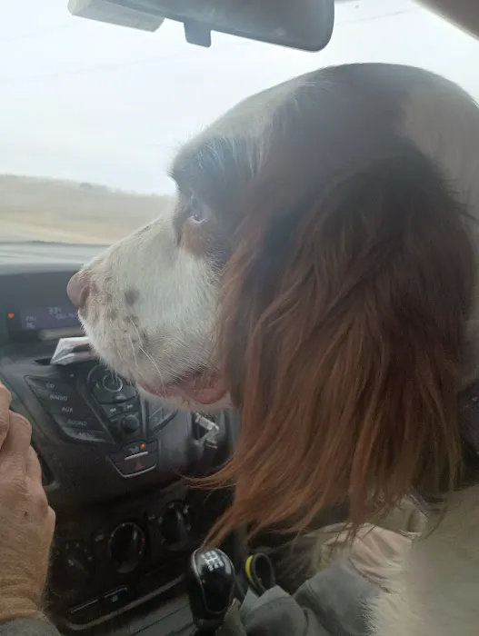 Beresford Vet Clinic PC Picture 2