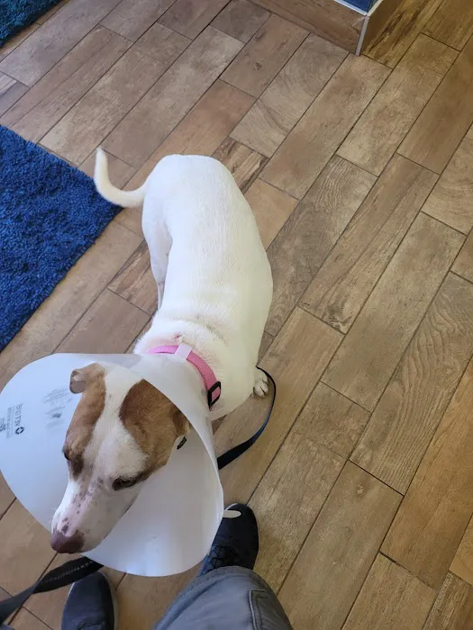 Beresford Vet Clinic PC Picture 3