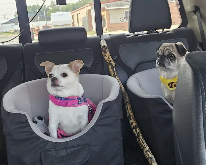 Beresford Vet Clinic PC Picture 7