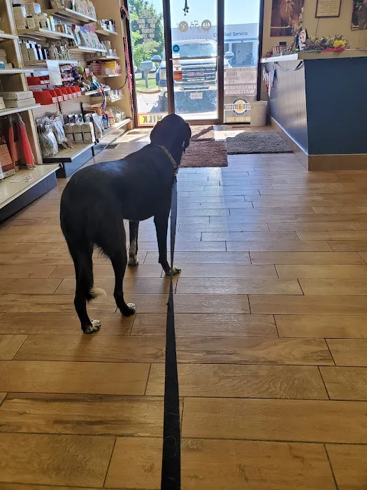 Beresford Vet Clinic PC Picture 4