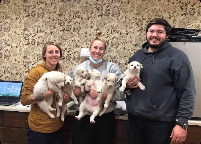 Beresford Vet Clinic PC Picture 8