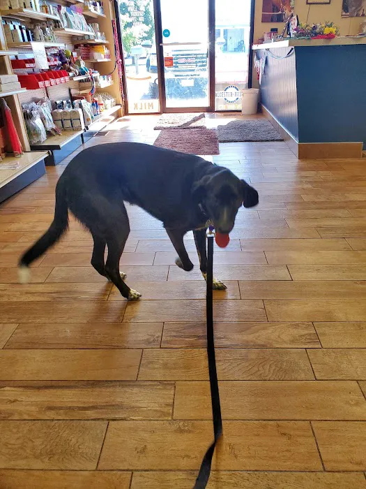 Beresford Vet Clinic PC Picture 5