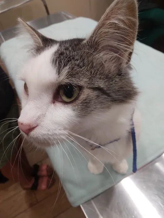 Beresford Vet Clinic PC Picture 6