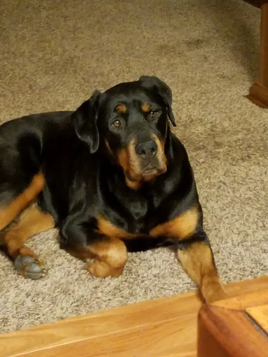 Dakota Large Animal Clinic Picture 4