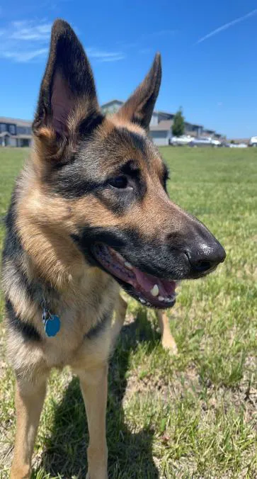 Dakota Large Animal Clinic Picture 3