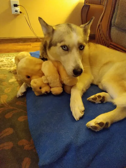 Dakota Large Animal Clinic Picture 2