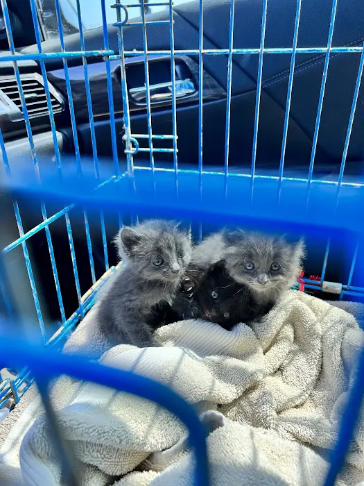 Dakota Large Animal Clinic Picture 7