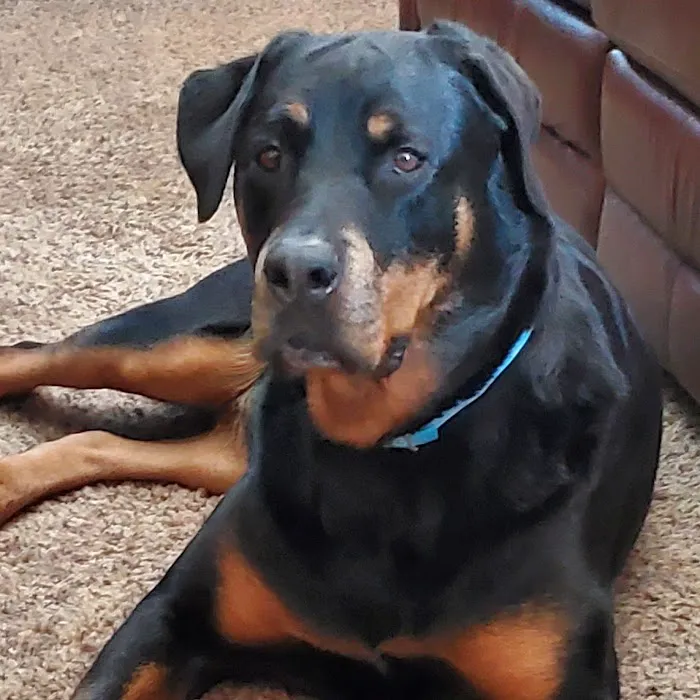 Dakota Large Animal Clinic Picture 5