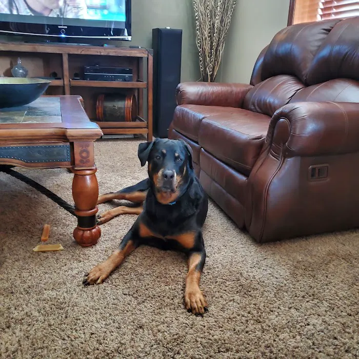 Dakota Large Animal Clinic Picture 8