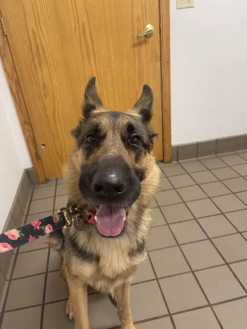 Dakota Large Animal Clinic Picture 6