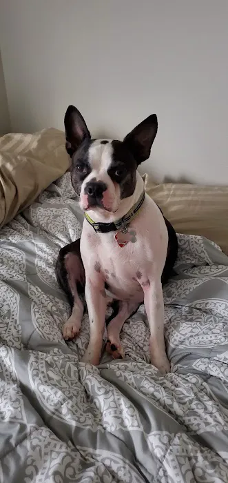 Faithful Friends Veterinary Care Picture 3