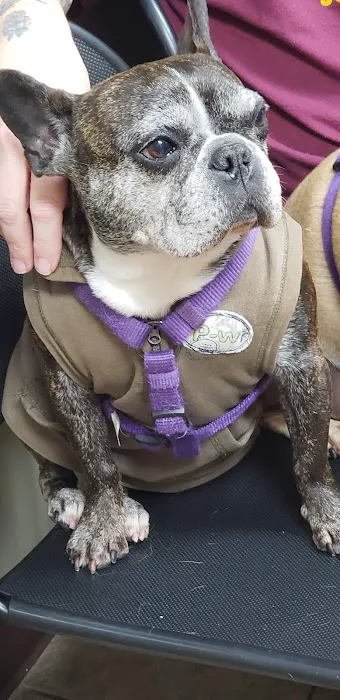 Faithful Friends Veterinary Care Picture 7