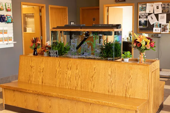 Faithful Friends Veterinary Care Picture 4