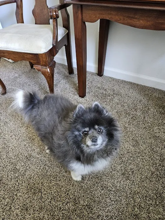 All City Pet Care East Picture 9