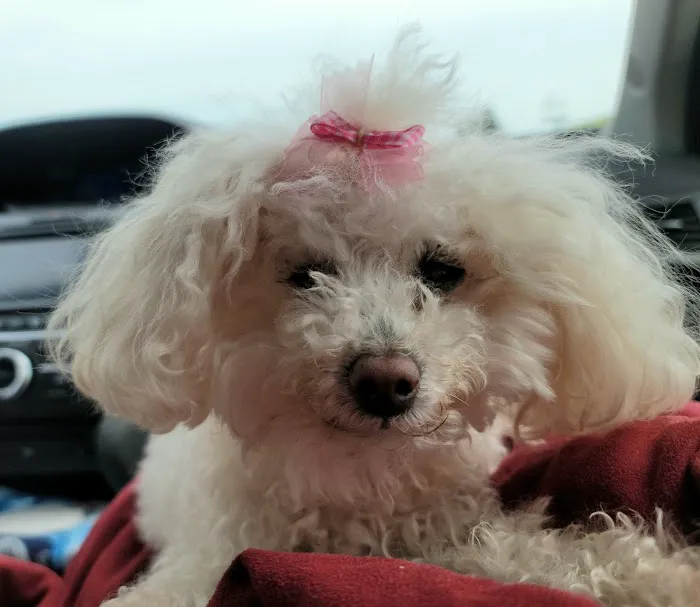 Rock Veterinary Clinic Picture 3