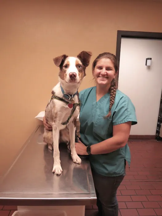 Rock Veterinary Clinic Picture 6