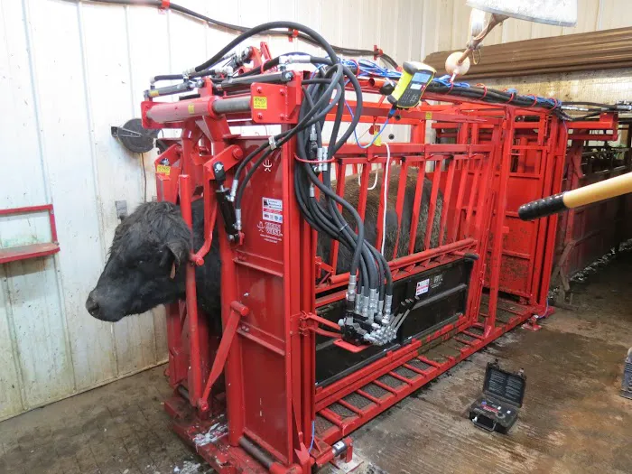 Rock Veterinary Clinic Picture 7