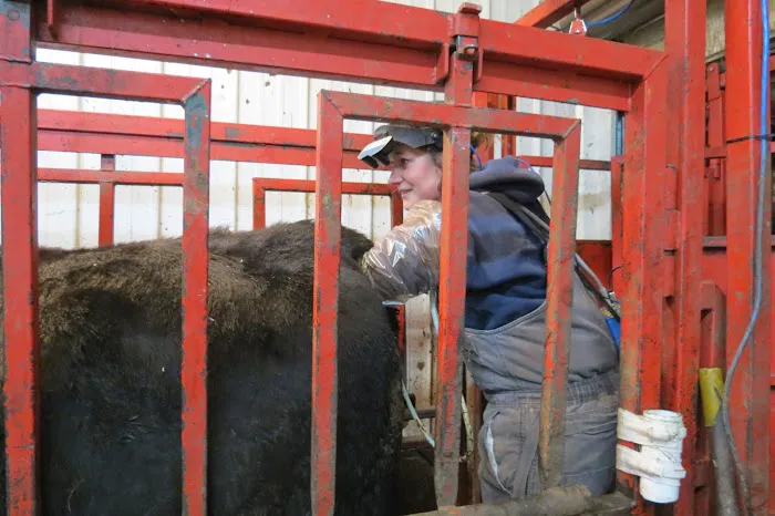 Rock Veterinary Clinic Picture 8