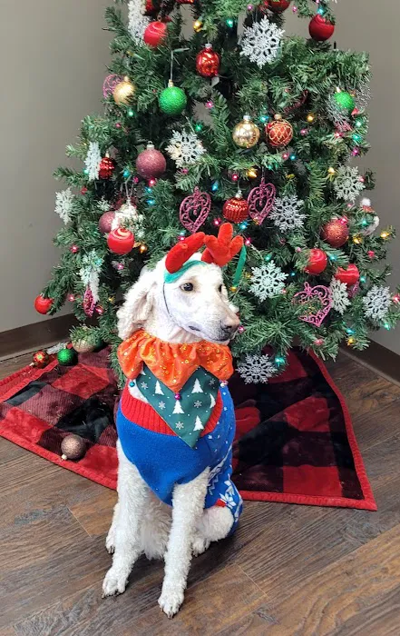 Veterinary Medical Center PA Picture 3