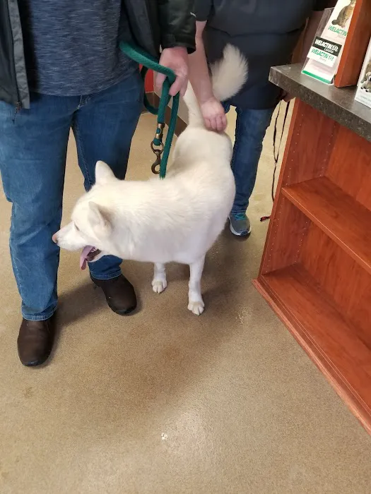 Veterinary Medical Center PA Picture 4