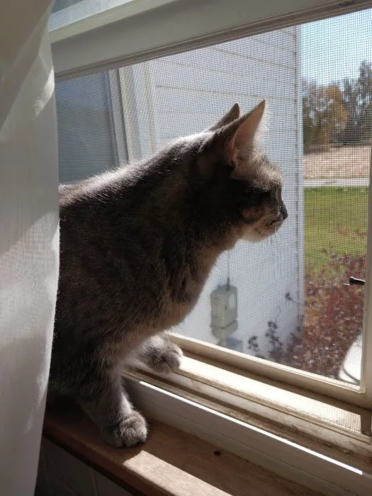 Veterinary Medical Center PA Picture 7