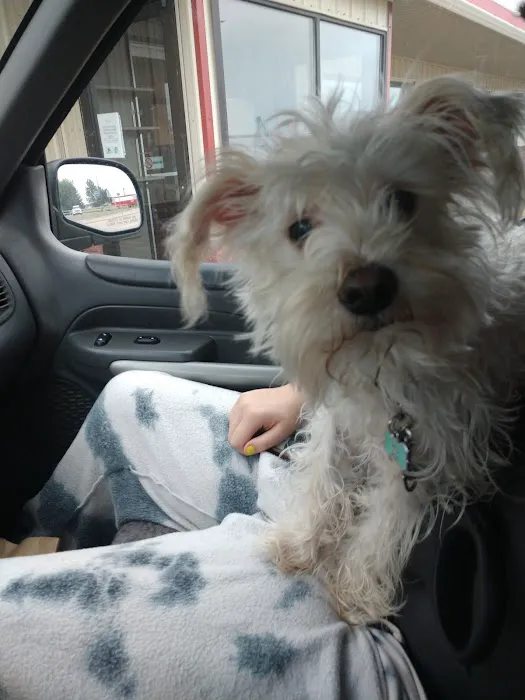 Veterinary Medical Center PA Picture 5