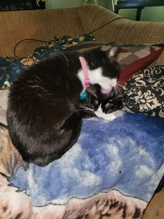 Animal Medical Centers Picture 3