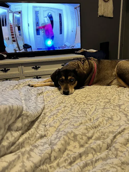 Animal Medical Centers Picture 6