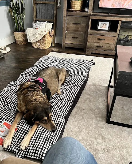 Animal Medical Centers Picture 9