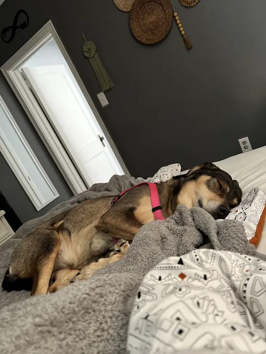 Animal Medical Centers Picture 8