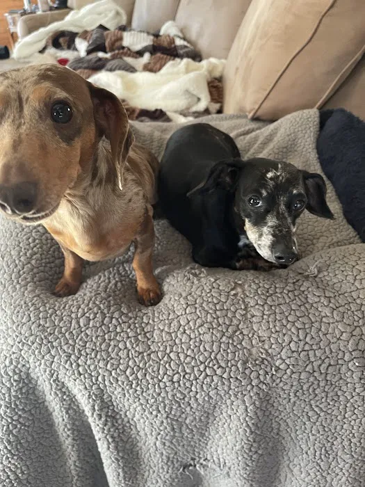 Homestead Small Animal Practice Picture 3