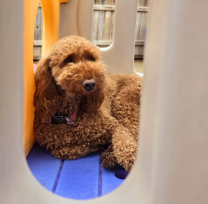 Homestead Small Animal Practice Picture 2