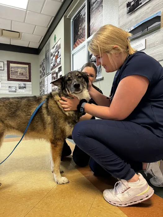 Homestead Small Animal Practice Picture 9