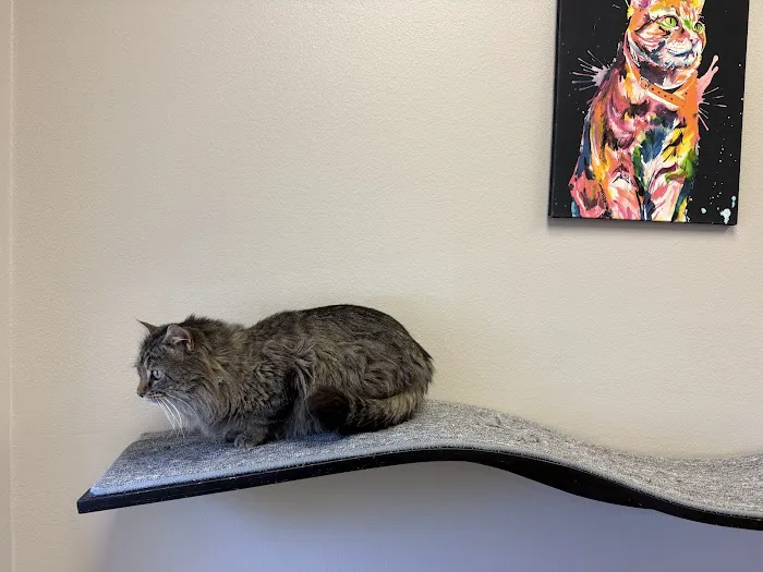 Heather Ridge Pet Hospital Picture 1