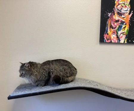 Heather Ridge Pet Hospital