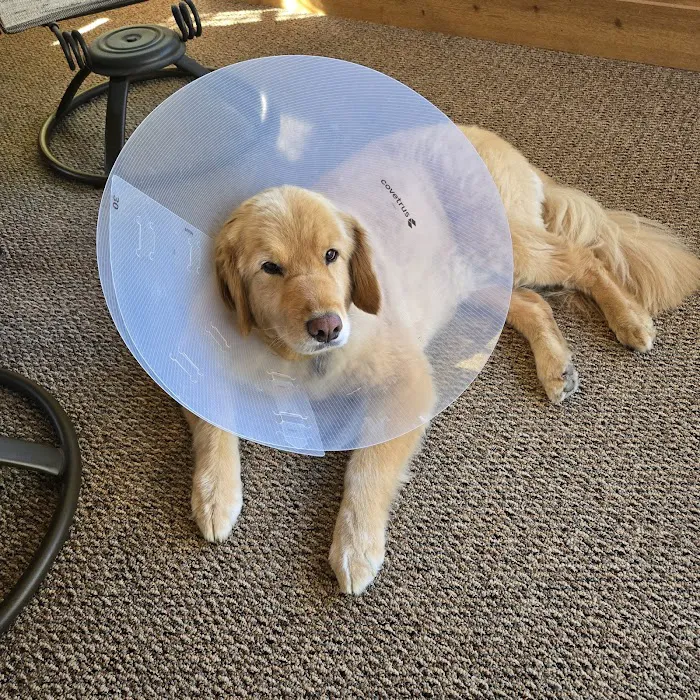 Heather Ridge Pet Hospital Picture 2