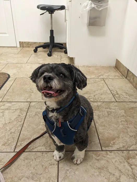 Heather Ridge Pet Hospital Picture 6