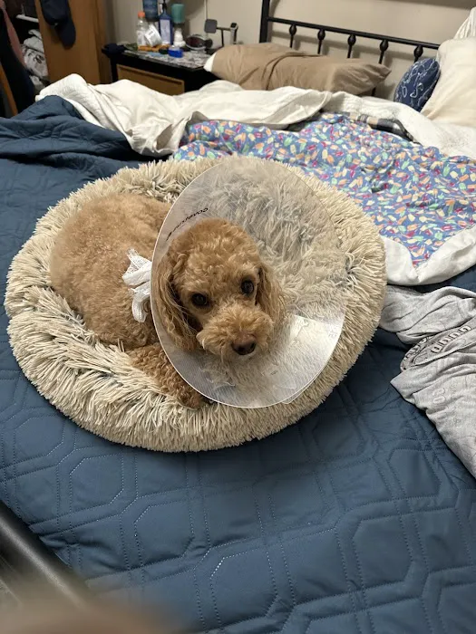 Heather Ridge Pet Hospital Picture 7