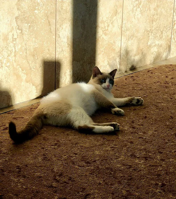 Heather Ridge Pet Hospital Picture 10