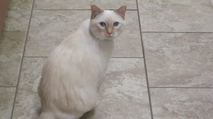 Heather Ridge Pet Hospital Picture 8