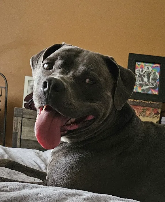 Tea Veterinary Clinic PC Picture 3