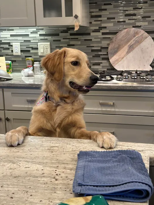 Tea Veterinary Clinic PC Picture 6