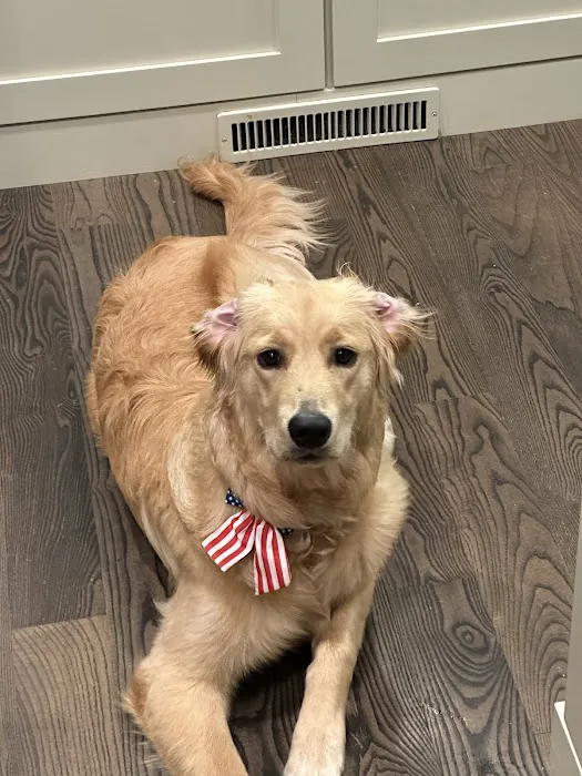 Tea Veterinary Clinic PC Picture 9