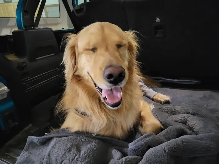 Tea Veterinary Clinic PC Picture 5