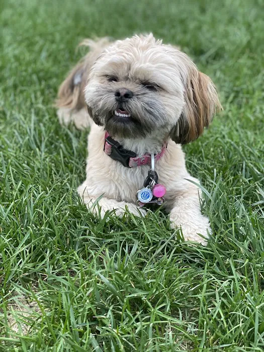 All City Pet Care Veterinary Emergency Hospital Picture 4