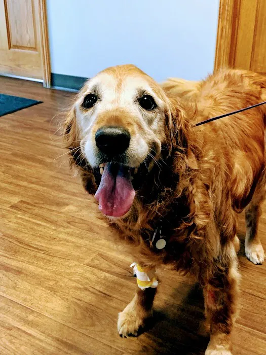 All City Pet Care Veterinary Emergency Hospital Picture 8