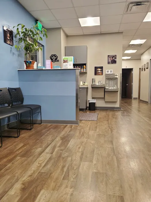 All City Pet Care South: Heitmann Jeff DVM Picture 6