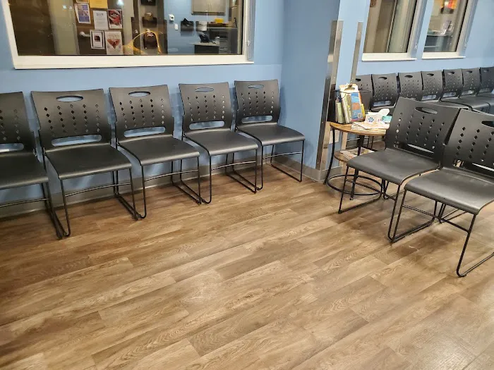 All City Pet Care South: Heitmann Jeff DVM Picture 4