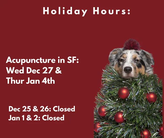 Windhorse Veterinary Acupuncture Picture 6