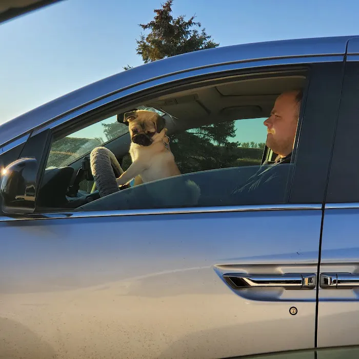 South Central Veterinary Clinic Picture 2